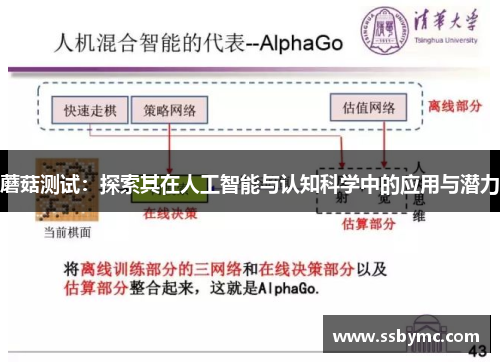 蘑菇测试：探索其在人工智能与认知科学中的应用与潜力