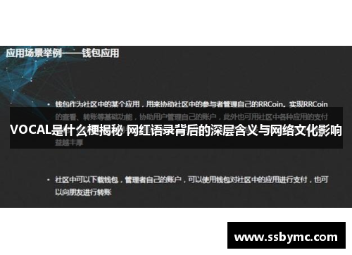 VOCAL是什么梗揭秘 网红语录背后的深层含义与网络文化影响